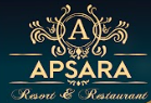 ApsaraLogo